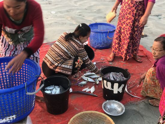 Fischerei am Morgen im Dorf Lonthar an der Südspitze des Ngapali Strandes.
