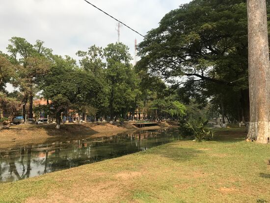 Entlang des Flusses Siem Reap laden hohe Bäume mit ihren weit ausladenden Kronen zum Verweilen und Bummel ein.