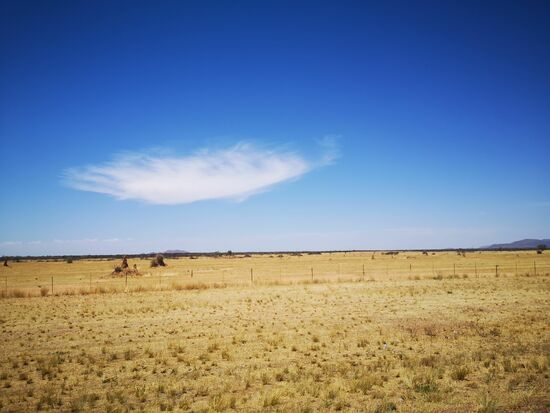 Entlang der Straße erstreckt sich bis zum Horizont die Savanne.