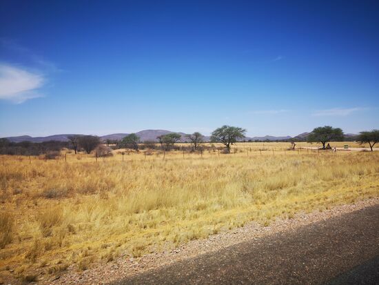 Blick auf die namibische  Strauchsavanne