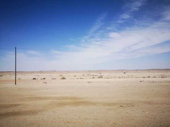 Wir nähern uns der Küste. Die Landschaft wird sandiger.