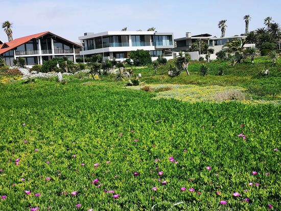 Frühling in Swakopmund