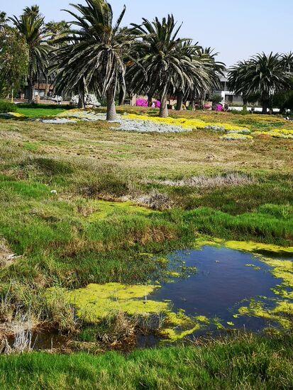 An der Strandpromenade
