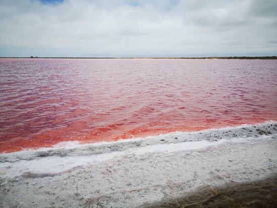 Je nachdem, wie die Winde vom Meer oder Land kommen, leuchten die Salzpfannen weiß oder rot.