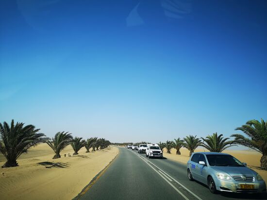 Der Wüste abgetrotzt!