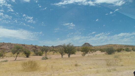 Je weiter wir uns von der Küste weg bewegen, umso bewachsender und hügliger wird die Landschaft.