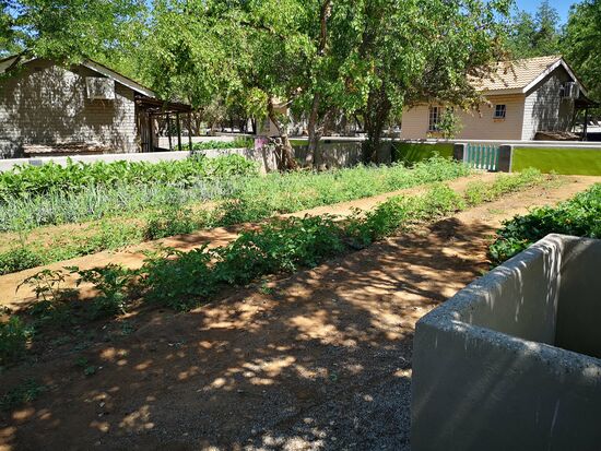 Gemüseanbau in den Vorgärten der Chalets unserer Unterkunft im Damaraland.