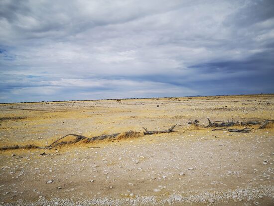 Über weite Strecken ist die Landschaft im Park trockene Savanne.