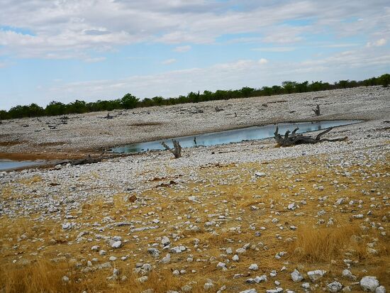 Hier sollten eigentlich die Elefanten kommen, aber sie kamen nicht. Viele Minuten haben wir gewartet, aber vielleicht waren wir einfach zu ungeduldig. Allerdings waren wir nicht die Einzigen, die vergebens auf die Tiere warteten.