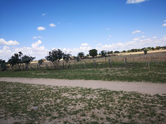 Und wo die Tiere sind, befinden sich in der näheren Umgebung auch die Dörfer mit den typischen Strohrundhütten und hohen Zäunen ringsherum.