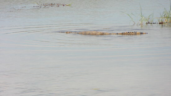 und verschwindet im Fluss.