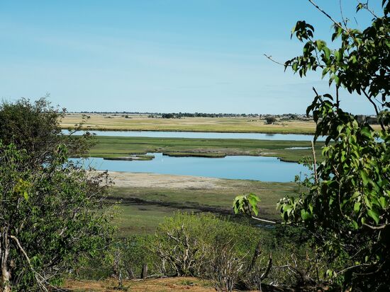 Ein Blick auf die Flusslandschaft, durch die unsere Flusssafari führte.