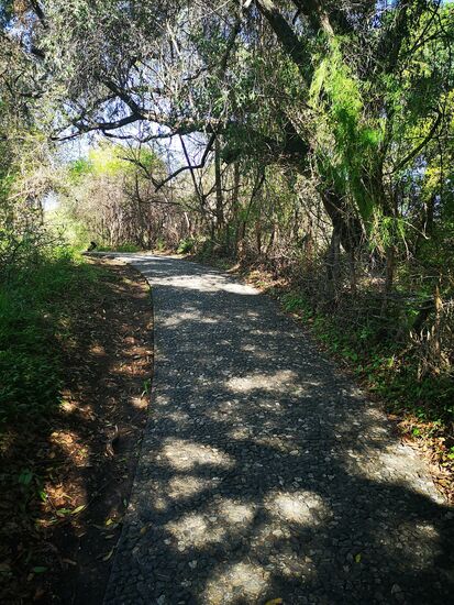 Ruhig und idyllisch geht es an der Schlucht durch dichten Regenwald, der herrlich kühlte.