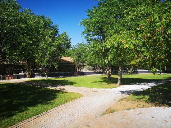 Weitläufig und in grünen Oasen verstecken sich zumeist die kleinen Chalets unserer Lodgen.