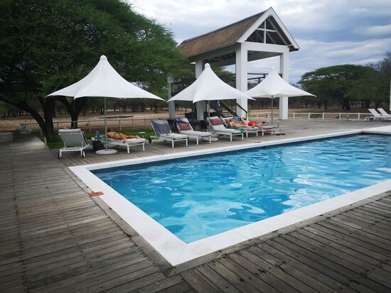 In jeder Lodge empfing uns ein Pool, der stets zum erfrischenden Bad einlud. Hier in der Emanya Lodge am Etosha Park. Gleich hinter dem Becken befindet sich das Wasserloch für die Tiere.