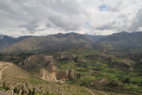 Aussucht auf das grüne Tal des Colca Canyon