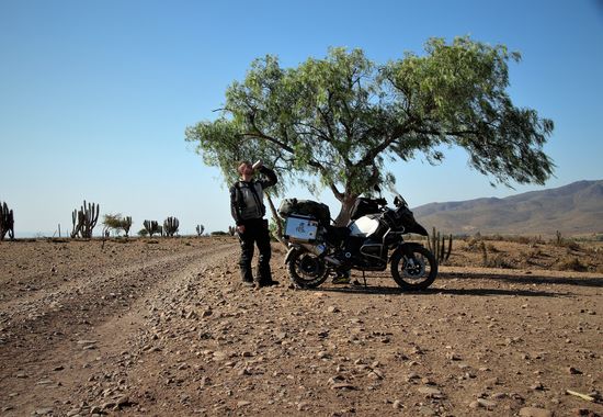 350 Km nördlich von Valparaiso auf dem Weg in die Atacamawüste. Die Landschaft zunehmend karg und trocken.