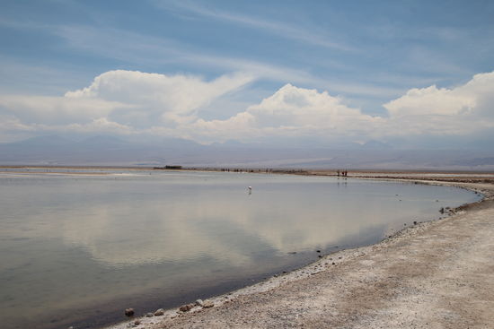 Lagune mit Flamingos.