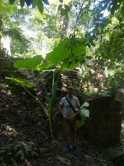Größenvergleich: Dschungel 1; Kai 0