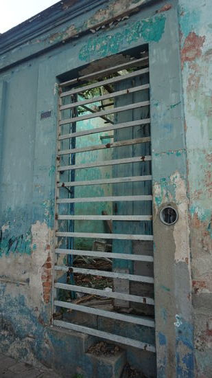 und immer neue Einblicke