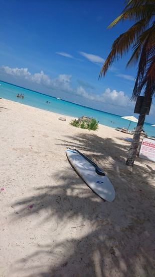 Eins unserer Paddelboards. Das war sooooo toll, unbedingt wieder