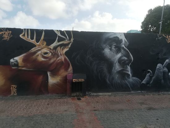 Playa hat ein jährliches Streetart Festival und es finden sich überall tolle Graffitis . Wir könnten locker 50 Bilder zeigen.........
