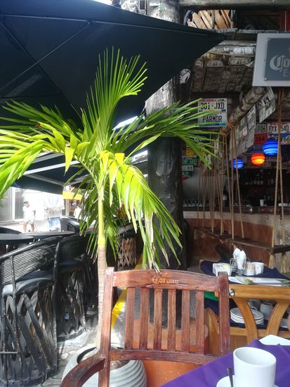 Frühstück Quinta Avenida