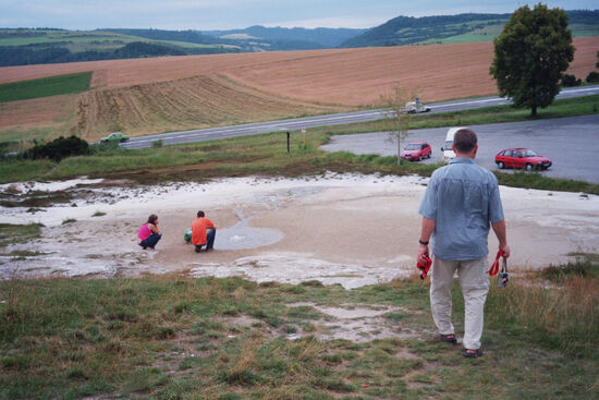 Kleine Mineralquelle neben der Strasse