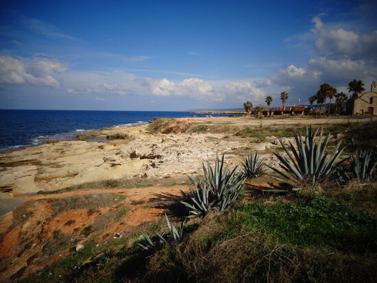 Küstenabschnitt bei Yeni Erenkoy