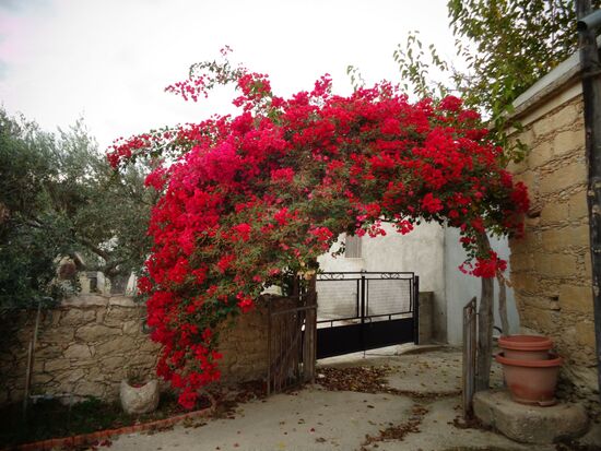 Hinterhof in Büyükkonuk