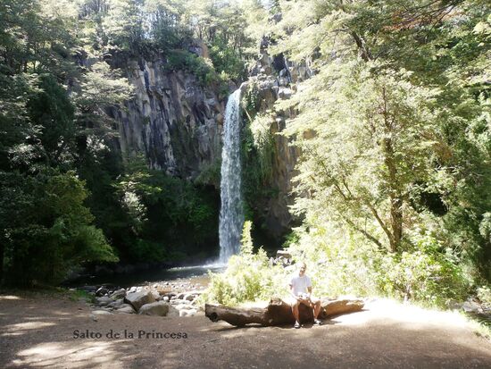 Der Wasserfall "Salto da la Princesa". Der Rio Cautin stürzt dort etwa 20 Meter herab