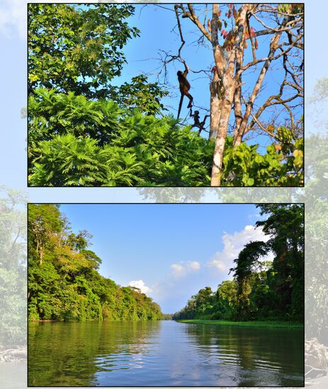 Tortuguero Nationalpark