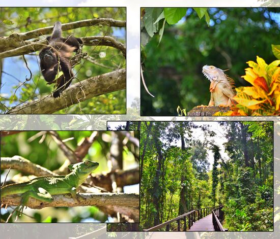 Cahuita Nationalpark