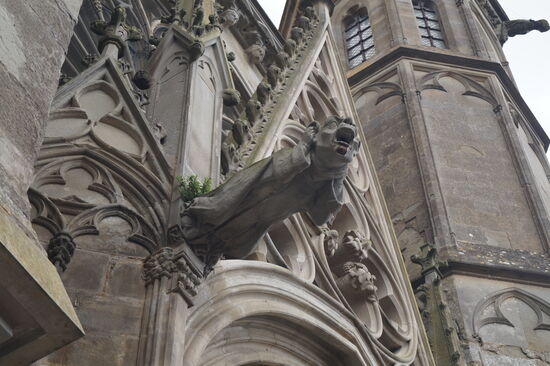 Wasserspeier, Kathedrale St. Nazaire, Carcassonne