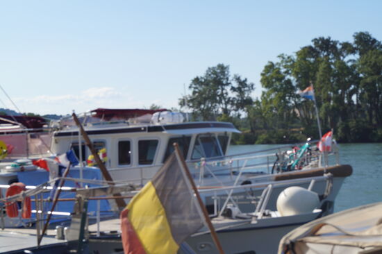 Im 3er Pack vor Avignon