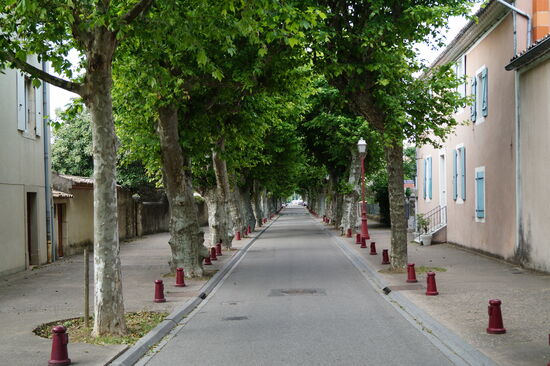 Viviers