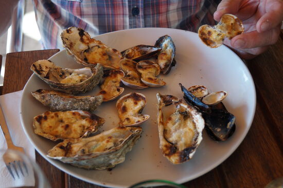 Lecker, Austern und Muscheln gratiniert.