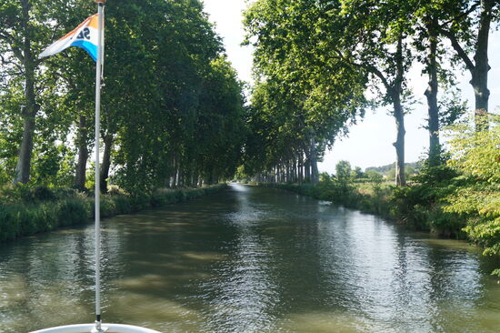 Canal du Midi mit Platanen besäumt