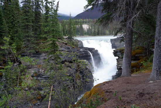 Athabasca Falls