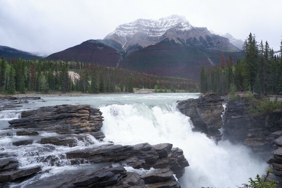 Athabasca Falls