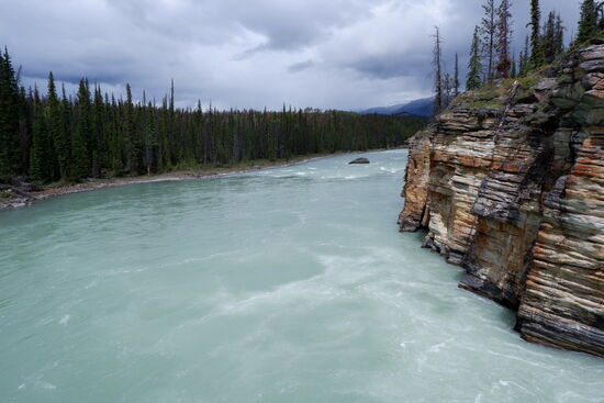 Der Auslauf der Athabasca Falls