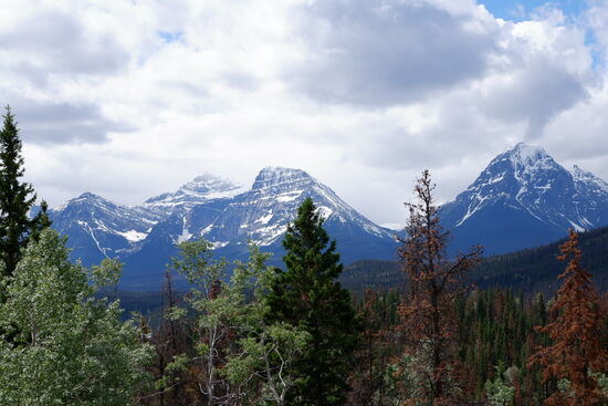 Panorama des Icefields Parkway