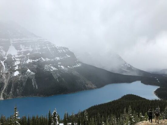 Peyto Lake