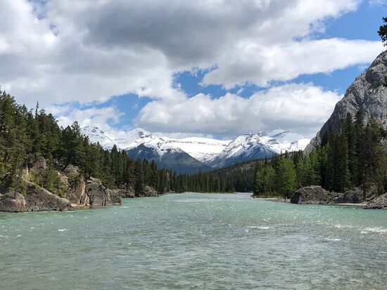 Bow River, sieht schon geil aus