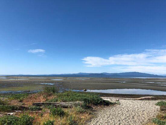 Strand, Meer, Berge. Gute Mischung. Palmen wurden sogar auch gesichtet