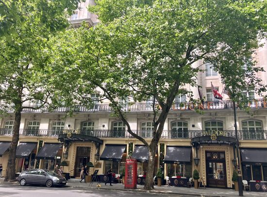 Waldorf Hotel