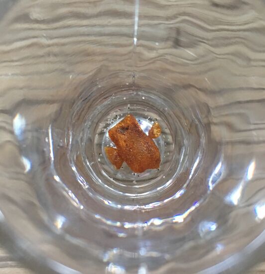 Fundstück des Tages �