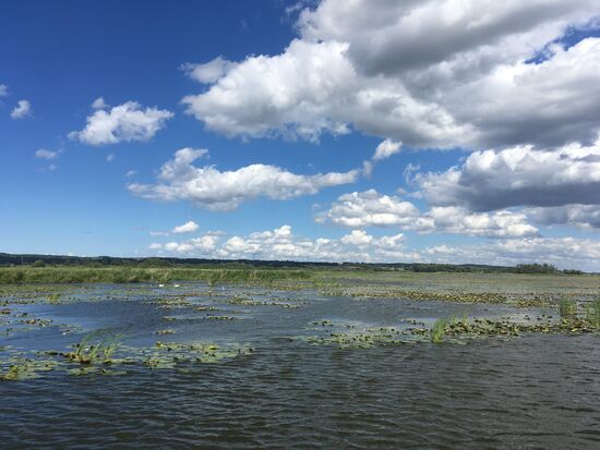 Hier gab es viel zu sehen ...