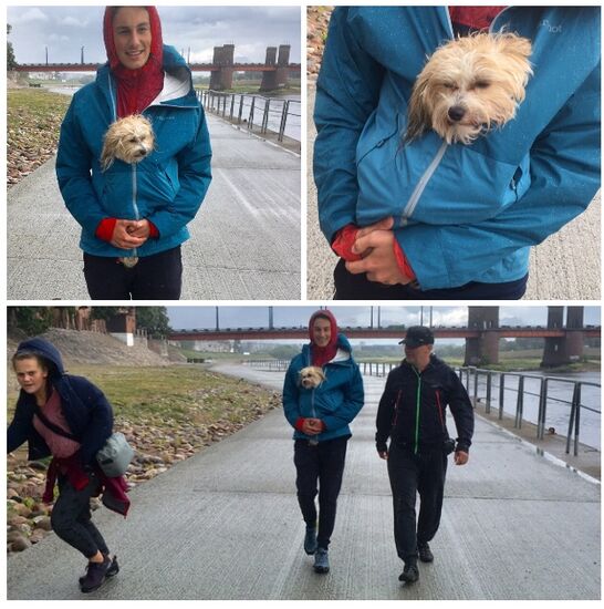 Sehr verregnet heute, da jagt man nicht mal den Hund vor die Tür, äh Jacke