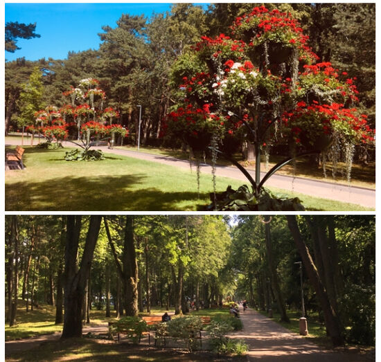 Sehr gepflegt, schöner Park sehr ruhig